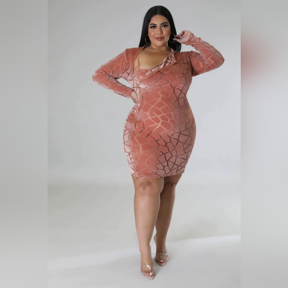 Plus size Sheer Mauve Two piece Dress